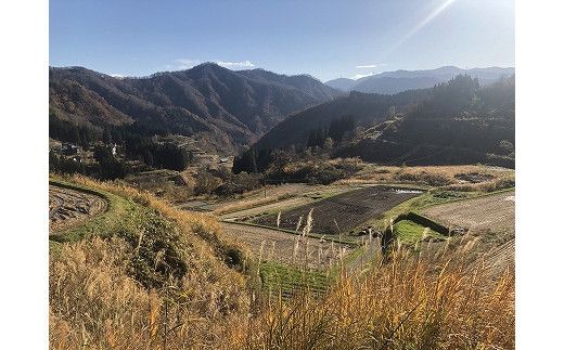 【特別栽培米】頂米 金兵衛 魚沼産従来コシヒカリ（精米）1kg お米 コメ 