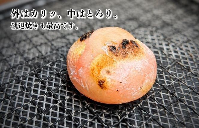 010B1959 【無添加】老舗職人の杵つき生丸餅（エビ）約500g 【小分け 50g×10個 解凍するだけで“つきたて”の粘りと香り】