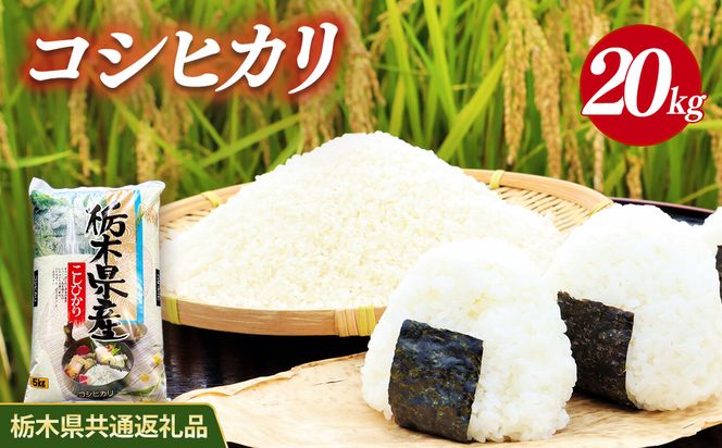 米 コシヒカリ 【20kg(5kg×4)】 栃木県産【栃木県共通返礼品】