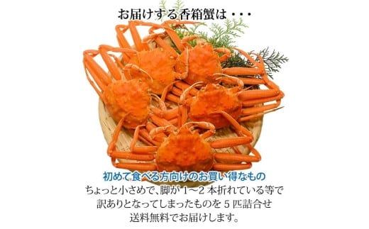 【11月12日～12月15日発送】石川県産 香箱蟹 せいこ 訳あり 小さめ 5匹 F6P-3480