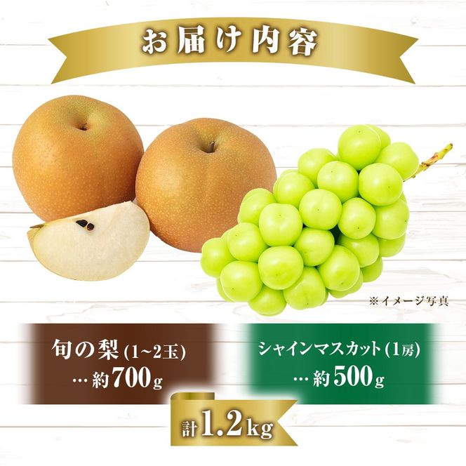 【産直もぎたて】シャインマスカットと梨のセット（フルーツ 果物 くだもの ブドウ ナシ 旬 先行受付 2025 贈答用 限定 産地直送）
