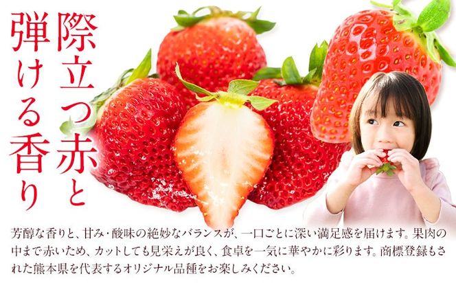 ゆうべに 約1kg 250g×4パック エフビーネット 道の駅竜北《2027年1月上旬-4月中旬頃出荷》熊本県 氷川町 苺 フルーツ 国産 果物 熊本県産 冷蔵 小分け 旬 いちご---hkw_efb_3_1kg---