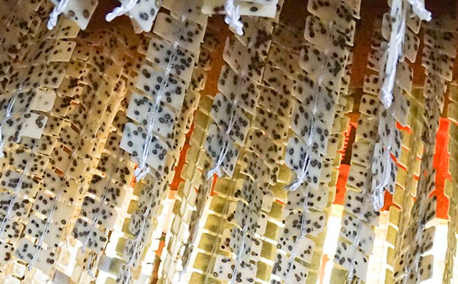 おこめやさんの揚げかきもち　6枚入り6ヶセット お菓子 和菓子 米菓 おかき お茶のお供 お茶うけ おやつ 新大正もち 程よい塩味 歯ごたえ 食べ物 食品 