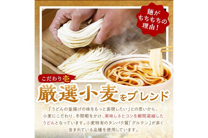 時短調理！モチモチうどん／京丹後つねよしの冷凍うどん 10玉入り（10食分）（隔月×3回）　KI00034