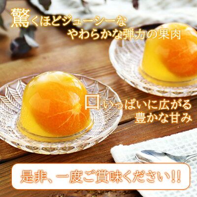 田村みかん フルーツまるごと ゼリー セット (約94g×12個入り)_AY6103