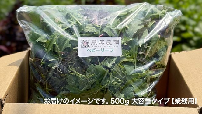 【 業務用 】 黒澤農園 の ベビーリーフサラダ 500g 大容量タイプ 業者向け ベビーリーフ サラダ 生野菜 食べやすい 若葉 ファミリー 旬 新鮮 国産 彩り パーティー 大量 お得パック [DS06-NT]