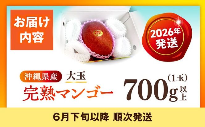 【最優秀賞受賞】沖縄県産 完熟マンゴー 大玉 1個入り マンゴー 沖縄 果物 フルーツ ギフト 沖縄市 / MAIFARM[BCAN005]
