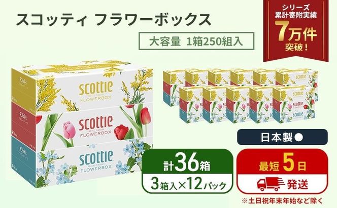 ティッシュ スコッティ フラワーボックス 36箱 ( 3箱 × 12パック )