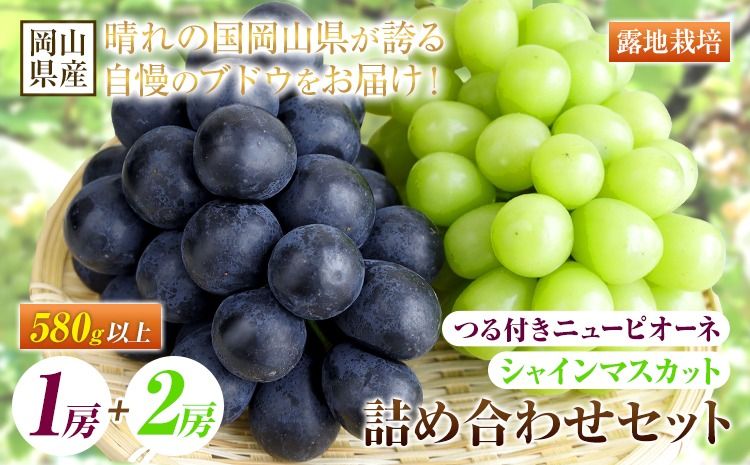 [先行予約] 岡山県産 つる付き!ニューピオーネ 1房 580g & シャインマスカット 2房 1房あたり580g セット 露地栽培[配送不可地域あり]ニューピオーネ シャインマスカット[9月上旬-10月末頃に出荷予定(土日祝除く)] 岡山県 矢掛町 晴王 ぶどう 詰め合わせ 果物---osy_chbf40_af9_25_34000_b---