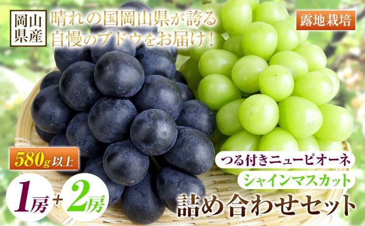 [先行予約] 岡山県産 つる付き!ニューピオーネ 1房 580g & シャインマスカット 2房 1房あたり580g セット 露地栽培[配送不可地域あり]ニューピオーネ シャインマスカット[9月上旬-10月末頃に出荷予定(土日祝除く)] 岡山県 矢掛町 晴王 ぶどう 詰め合わせ 果物---osy_chbf40_af9_25_34500_b---