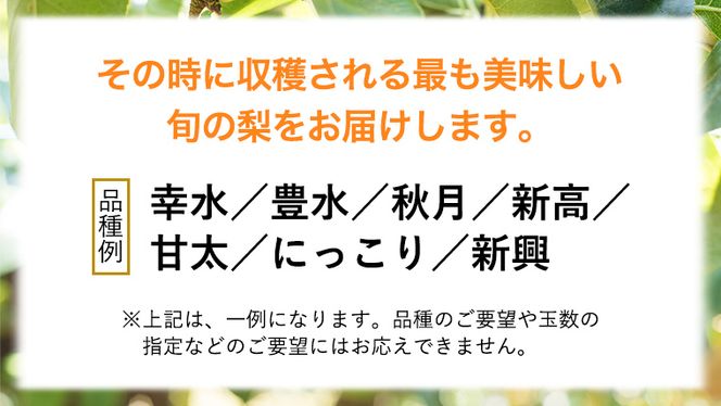 【 先行予約 】 品種おまかせ 採れたて 完熟天使の 甘梨 約 3kg （ 茨城県共通返礼品： かすみがうら市 ） 【 2026年8月中旬頃発送 】 フルーツ 果物 なし ナシ 旬 新鮮 旬 期間限定 甘い 国産