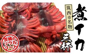 筑西市名物 煮イカ（三杯）いか 筑西 茨城 ソウルフード ご当地グルメ 名物 海鮮 魚介 冷凍 ［BW090ci］