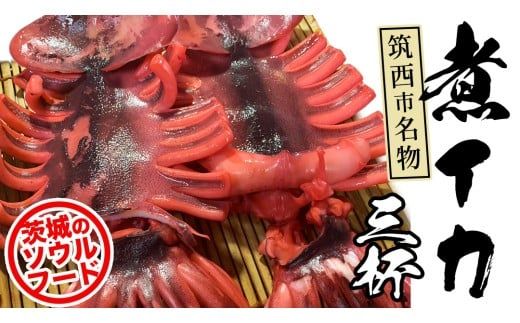 筑西市名物 煮イカ（三杯）いか 筑西 茨城 ソウルフード ご当地グルメ 名物 海鮮 魚介 冷凍 ［BW090ci］