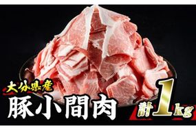 豚 小間肉 (計1kg・500g×2P) 大分県産 小分け 豚肉 ぶたにく 生姜焼き おにく お肉 焼肉 しゃぶしゃぶ 鍋 惣菜 大分県 佐伯市【BD102】【西日本畜産 (株)】