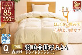 【春秋用】 洗える 羽毛布団 合掛け クイーン ホワイトダックダウン85% 1.4kg 無地 アイボリー 中厚 春用 秋用 [川村羽毛 山梨県 韮崎市 20745420] 合い掛け 軽い羽毛 布団 コインランドリー 掛け布団 ダウンかけ布団 ふとん 羽毛ふとん 合掛け布団 エクセルゴールドラベル
