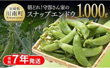 【令和7年発送】朝どれ！守部さん家のスナップエンドウ1.0kg【 野菜 宮崎県産 エンドウ豆 えんどう豆 おつまみ 2025年発送 】 [D06409]