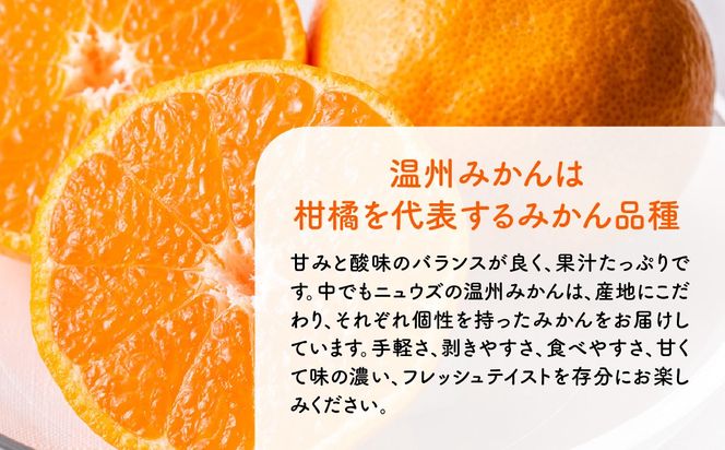【先行予約】温州みかん（生果）5kg（2026年11月上旬より順次発送） IKTF013