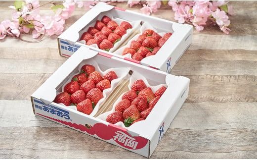 【春】福岡産 あまおう いちご 約250～270g×4パック 【2026年2月上旬～3月下旬発送予定】 大粒 