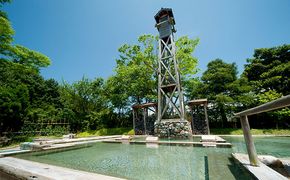 【能登半島地震復興支援】辰口温泉 たがわ龍泉閣露天風呂付「椿苑」ペアー宿泊券 旅行 チケット 