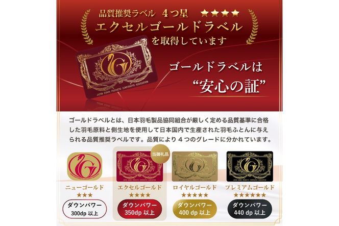 【春夏用】洗える 羽毛 肌掛け布団 ダブル ホワイトダックダウン 85% 0.6kg (無地 ブラウン) [川村羽毛 山梨県 韮崎市 20745029] 掛け布団 布団 羽毛布団 ダウンケット ふとん 肌掛け ダウンケット 寝具 コインランドリー