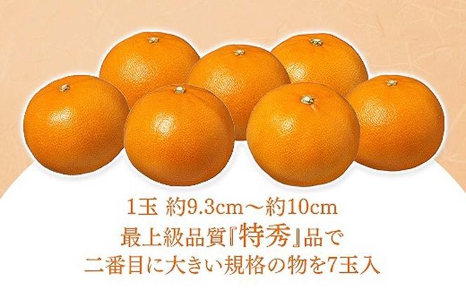 化粧箱 柑橘の大トロ ハウス せとか 厳選 大玉 7玉入  BS106