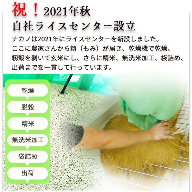 無洗米 10kg （2kg×5袋） 真空パック 京都丹波産 キヌヒカリ ※受注精米《米 白米 きぬひかり 10キロ 小分け ふるさと納税 無洗米 大嘗祭供納品種 亀岡そだち》 ※北海道・沖縄・その他離島への配送不可