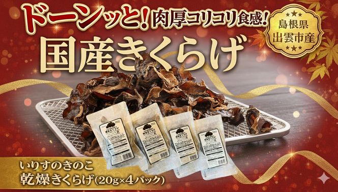 いりすのきのこ　乾燥きくらげ（20g×4パック） 322032_FL002