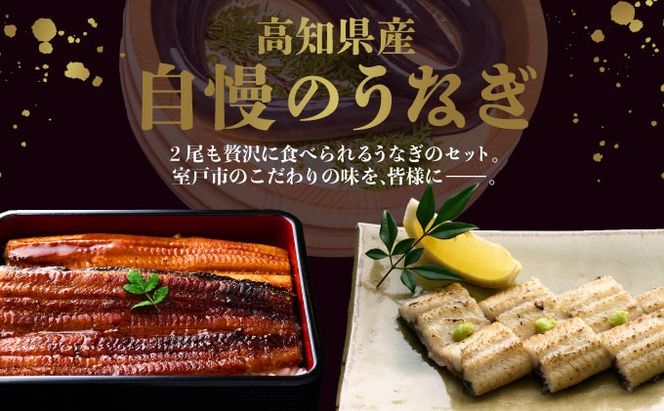 蒲焼き・白焼きを交互にお届け！国産うなぎ２尾【全４回定期便】 _ うなぎ 鰻 ウナギ 2尾 国産 高知県産 蒲焼き 白焼き かばやき 冷凍 うな重 ひつまぶし タレ ランキング 人気 4回 定期便 [yj058]