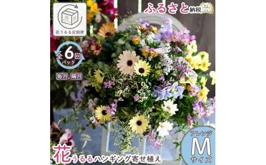 A031【ふるさと納税】花うるる 定期便 ハンギング 寄せ植え アレンジコース【全6回】 (サブスク ハンギングバスケット 母の日 春 夏 秋 冬 定期購入 ギフト 花 フラワー 玄関 プレゼント 通販 鉢植え おしゃれ 送料無料 玄関 ガーデニング フラワーギフト 完成品 花苗 寄植え