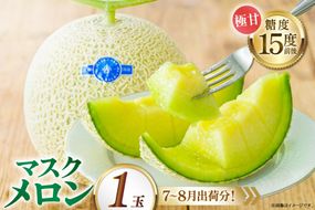 AJ650 【令和8年7-8月出荷分】 堀農園 マスクメロン 1玉 [ メロン めろん 青肉メロン 黄緑 果物 フルーツ おいしい 甘い 堀農園 長崎県 島原市 ]