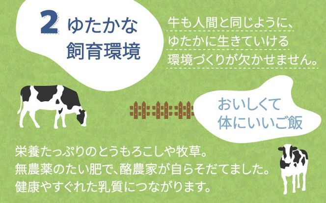 【年内発送】伊都物語プレミアムアイス30個セット(みるく6個、ヨーグルト6個、あまおう6個、抹茶6個、チョコレート6個)《糸島》[AFB009] アイス クリーム ミルク ギフト 詰め合わせ 送料無料