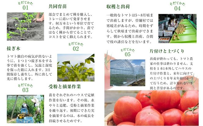 【極濃搾り】曽爾高原特産トマトの無添加100％トマトジュース 1000ml×2本セット 【2025年8月中旬より順次発送】