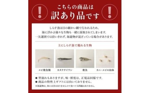 訳あり 釜揚げしらす 1kg(箱入り)こだわりの塩で減塩・甘塩仕上げ 少し大きめのシラス