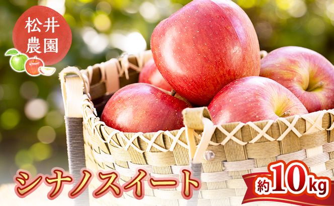 信州小諸　松井農園のシナノスイート　約10kg 果物類・林檎・りんご・リンゴ