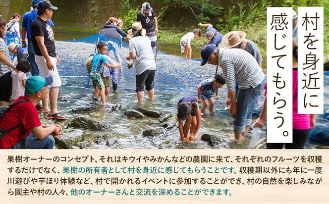 【CF】令和8年度果樹オーナー権(ブルーベリー）---sanagouchi_sko_6_1k---