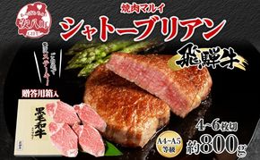 飛騨牛贈答用 シャトーブリアン ステーキ約800g 肉 牛肉 和牛 ブランド牛 お肉 ビーフ ヒレ 希少部位 赤身 贅沢 国産 お取り寄せ ご褒美 豪華 グルメ 焼肉 BBQ パーティー ギフト 贈り物 自家用 贈答用 送料無料 焼肉マルイ 岐阜県 【 安八町 】