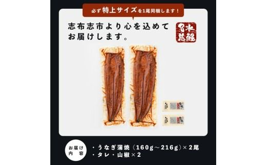 【志布志市制20周年記念】【10営業日以内に発送】鹿児島県産うなぎ蒲焼 名水慈鰻 2尾（1尾あたり140～210g・計350g以上） a3-236