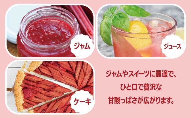 北海道 伊達市産 ルバーブ(苗) 2本｜国産 野菜 ジャム パイ お菓子作り 家庭菜園【kzh-019】