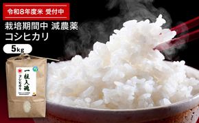 令和8年産 栽培期間中減農薬 コシヒカリ 5kg お米 精米 白米 玄米 ブランド米 銘柄米 ご飯 おにぎり お弁当 和食 産地直送 粘り 香り 旨み つや