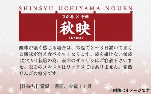 甘さも酸味も強め！『秋映』約5kg (約12～16玉) 《信州うちやま農園》■2025年発送■※10月上旬頃～10月下旬頃まで順次発送予定