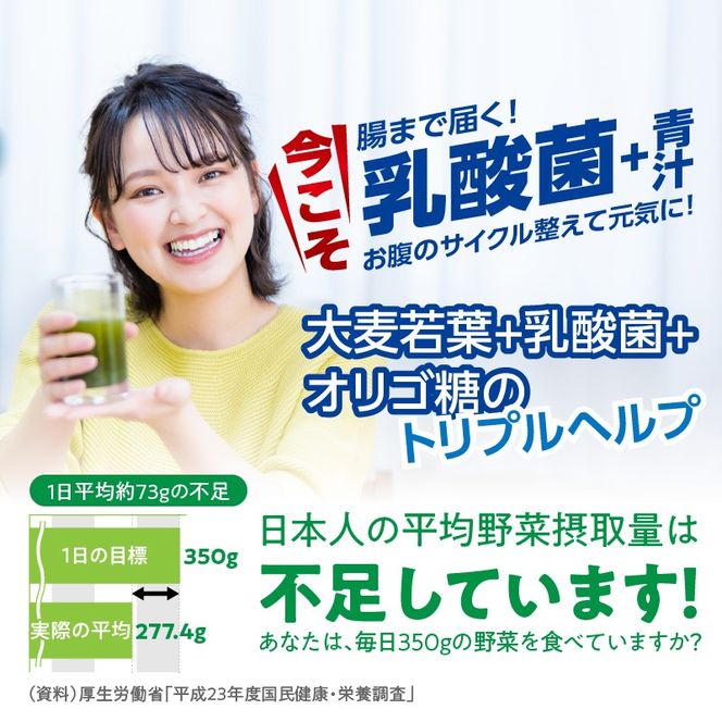 ＜2ヶ月に1度、3回送付＞乳酸菌＋大麦若葉粉末60H［027Y23-T］　山本漢方　定期便