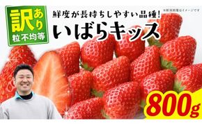 【 先行予約 】 訳あり いちご いばらキッス 800g 【 2027年2月以降発送 】  （常陸太田市 共通返礼品 ) 苺 果物 くだもの フルーツ 不揃い ジャム