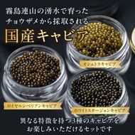【純国産キャビア】皇帝の涙スペシャルセレクション 60g 国産 チョウザメ キャビア オシェトラ 食べ比べ