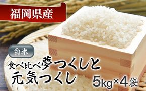 令和8年産 福岡県産米食べ比べ（白米）「夢つくし」と「元気つくし」セット　計20kg　各10kg お取り寄せグルメ お取り寄せ 福岡 お土産 九州 福岡土産 取り寄せ グルメ 福岡県