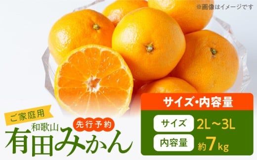 AT6315_【2026年先行予約】ご家庭用　有田みかん 約7kg (2L、3Lサイズ)【湯浅町】