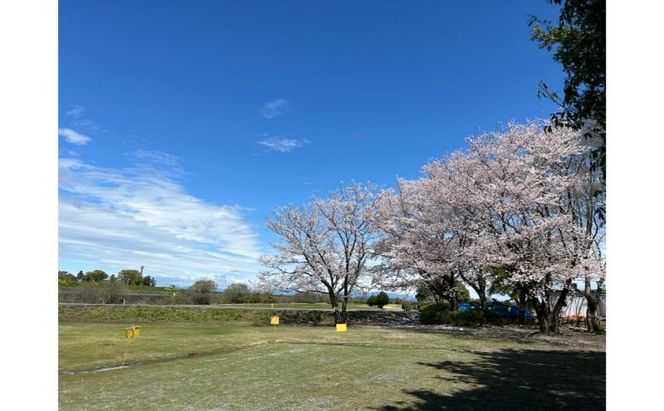 あんぱちパブリックゴルフクラブ利用券 25000円 チケット クーポン 利用権 スポーツ ゴルフ ゴルフ場 プレーチケット あんぱちパブリックゴルフクラブ 安八町 岐阜県