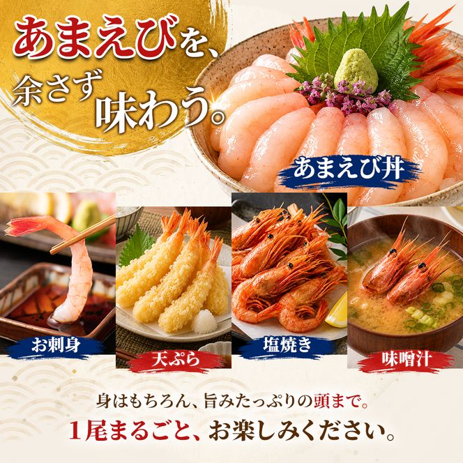 甘えび 刺身 500g 約50尾 越前甘えび 子なし 生食用 冷凍 えび エビ 海老 甘海老 あまえび 海鮮 魚介 魚介類 国産 日本海 福井県 若狭町
