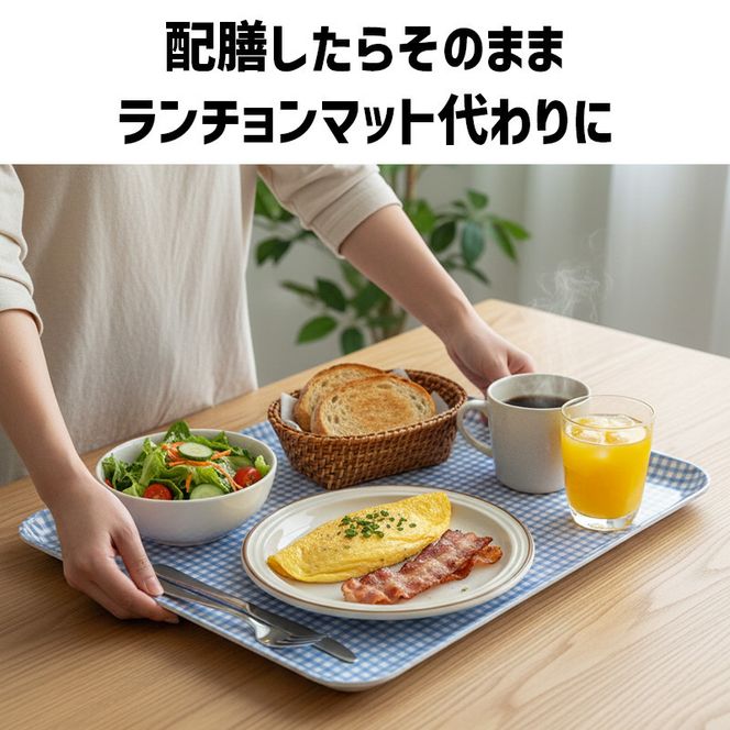 TATSU-CRAFT マグネットトレー SS 21.5cm チェック BL ブルー すべり止め付き ［Tk1050］ 303446_DA90799VC01