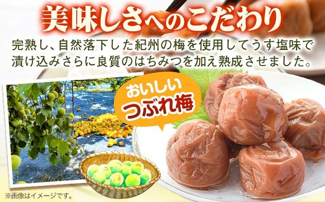 ご家庭用 とろける果肉 紀州南高梅 はちみつ梅 つぶれ梅 大容量 選べる 450g 900g 1.2kg 2kg 有限会社プラム《30日以内に出荷予定(土日祝除く)》和歌山県 日高川町 梅 うめ ウメ 南高梅 梅干し 梅干 つぶれ梅 蜂蜜 送料無料 ランキング お米 のお供---wshg_plm4_30d_26_6000_450g---