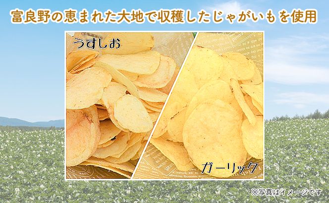 【3ヵ月に1回お届け】JAふらの ポテトチップス 【ふらのっち】うすしお＆ガーリック各12袋 計24袋 ふらの農業協同組合(南富良野町) 芋 菓子 スナック じゃがいも お菓子 ポテチ 定期便 